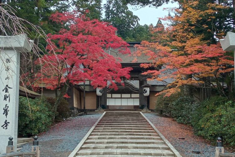 １８日朝の紅葉